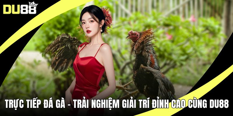 Trực Tiếp Đá Gà – Trải Nghiệm Giải Trí Đỉnh Cao Cùng DU88